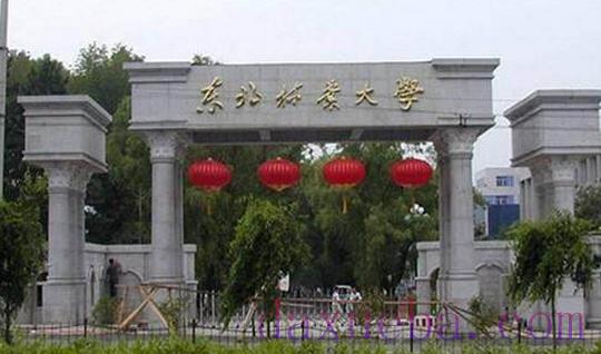 黑龙江二本大学名单有哪些 二本大学排名及分数线(最新版)