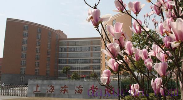 上海所有专科院校名单及排名(教育部)