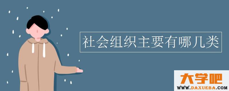 社会组织主要有哪几类 社会组织主要有哪几类